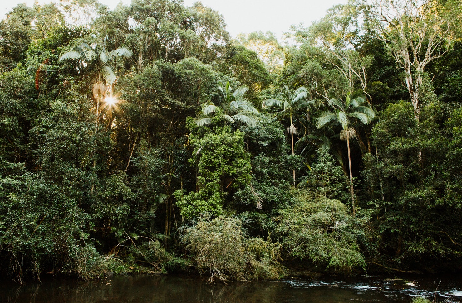 things to do sunshine coast hinterland